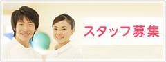 スタッフ募集